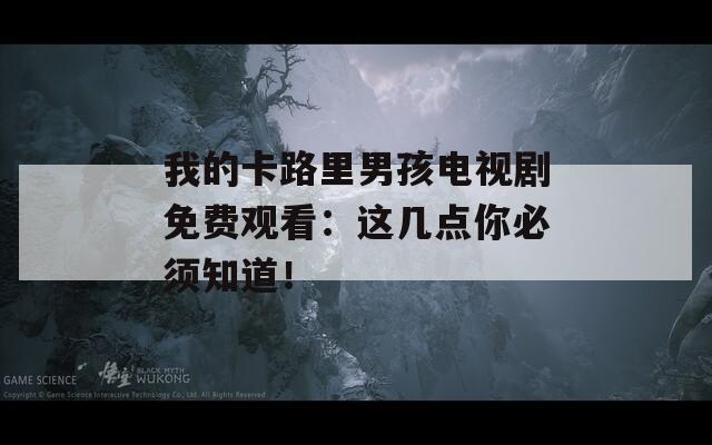 我的卡路里男孩电视剧免费观看：这几点你必须知道！