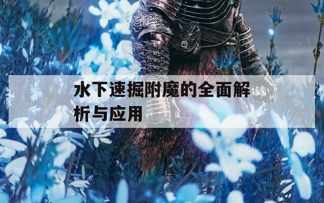 水下速掘附魔的全面解析与应用