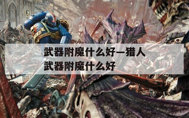 武器附魔什么好—猎人武器附魔什么好