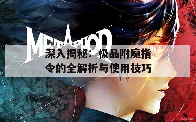 深入揭秘：极品附魔指令的全解析与使用技巧