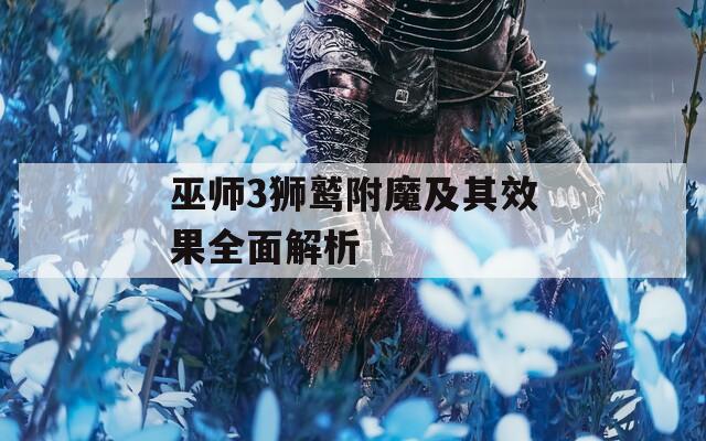巫师3狮鹫附魔及其效果全面解析  第1张