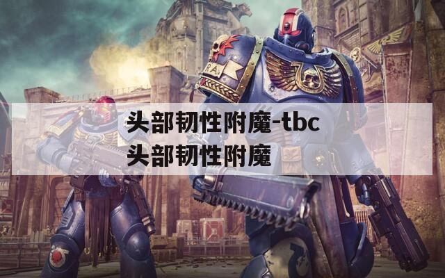 头部韧性附魔-tbc头部韧性附魔