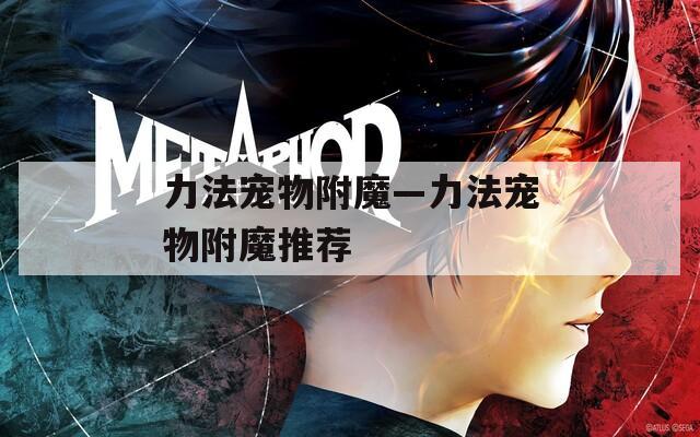 力法宠物附魔—力法宠物附魔推荐