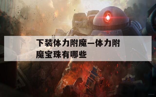 下装体力附魔—体力附魔宝珠有哪些