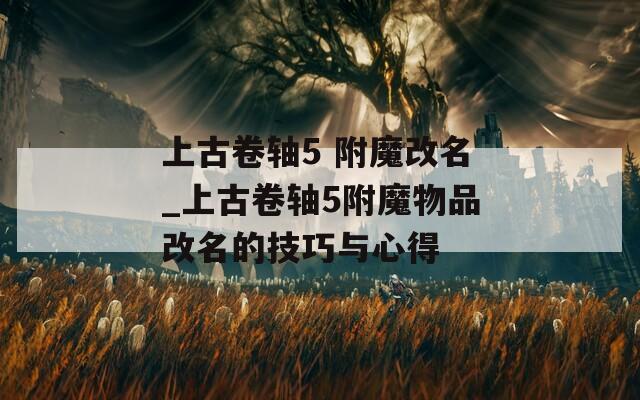 上古卷轴5 附魔改名_上古卷轴5附魔物品改名的技巧与心得