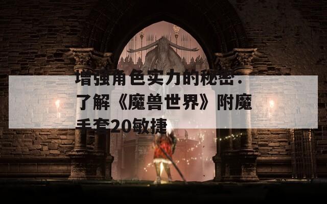 增强角色实力的秘密：了解《魔兽世界》附魔手套20敏捷  第1张