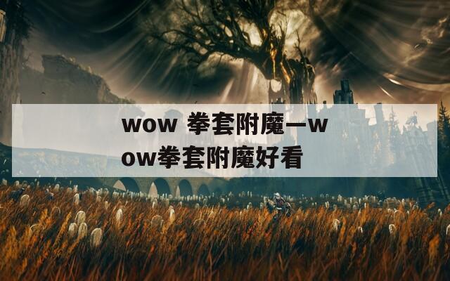 wow 拳套附魔—wow拳套附魔好看