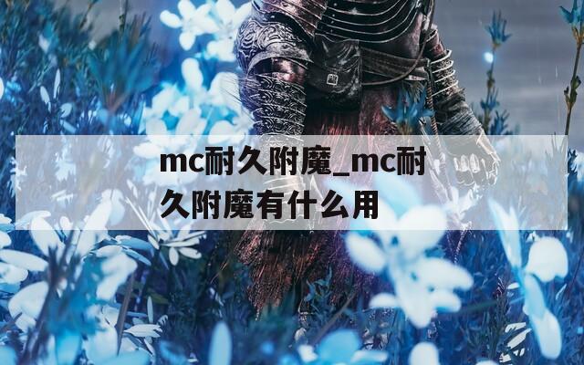 mc耐久附魔_mc耐久附魔有什么用