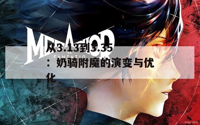 从3.13到3.35：奶骑附魔的演变与优化