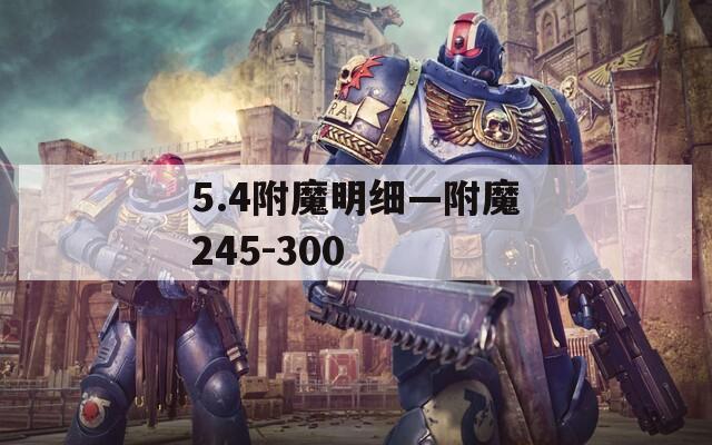 5.4附魔明细—附魔245-300  第1张