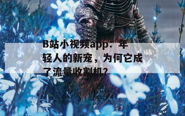 B站小视频app：年轻人的新宠，为何它成了流量收割机？
