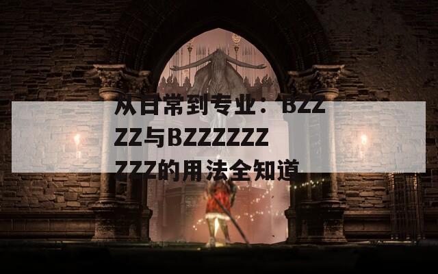 从日常到专业：BZZZZ与BZZZZZZZZZ的用法全知道