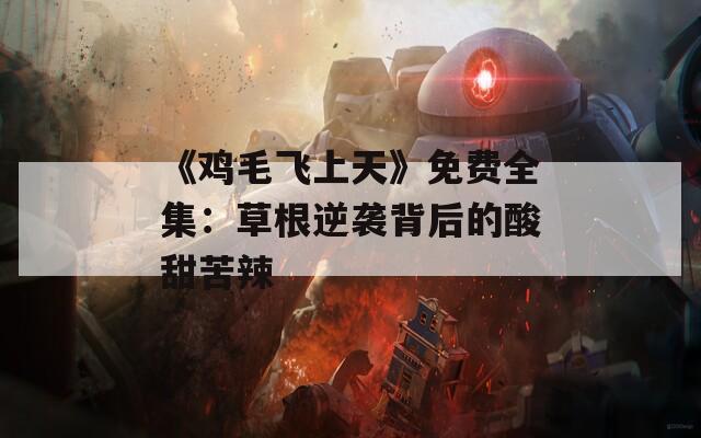 《鸡毛飞上天》免费全集：草根逆袭背后的酸甜苦辣  第1张