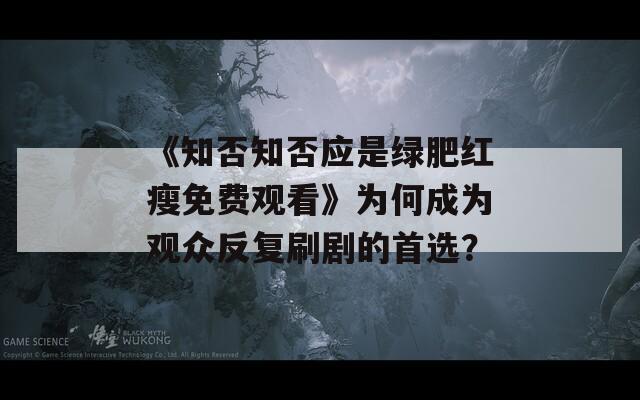 《知否知否应是绿肥红瘦免费观看》为何成为观众反复刷剧的首选？