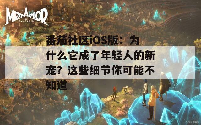 番茄社区iOS版：为什么它成了年轻人的新宠？这些细节你可能不知道  第1张