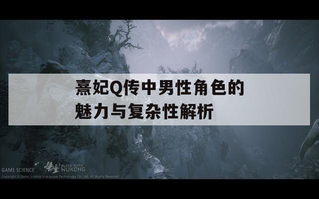 熹妃Q传中男性角色的魅力与复杂性解析  第1张
