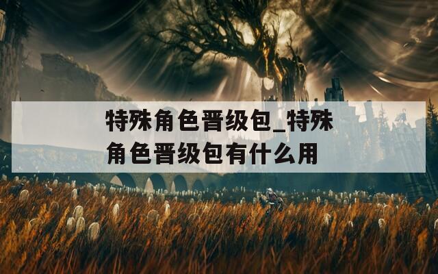 特殊角色晋级包_特殊角色晋级包有什么用