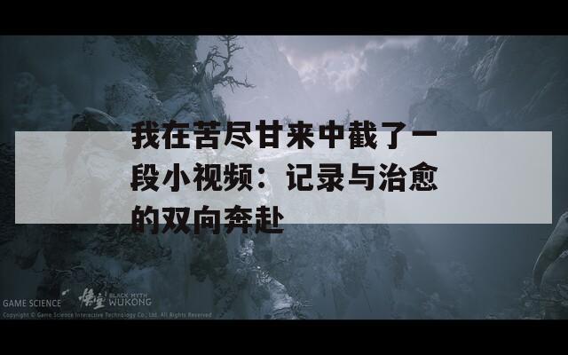 我在苦尽甘来中截了一段小视频：记录与治愈的双向奔赴  第1张
