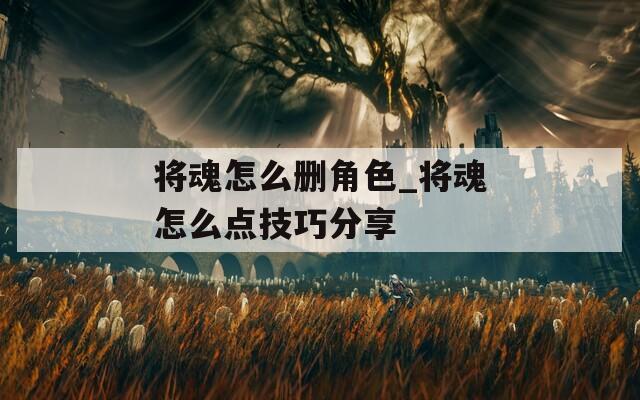 将魂怎么删角色_将魂怎么点技巧分享