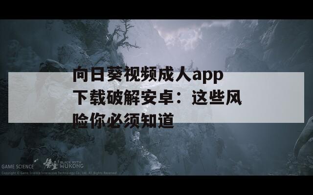 向日葵视频成人app下载破解安卓：这些风险你必须知道